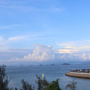 会呼吸的痛 (Live)