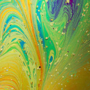 Funky Frank (Explicit)