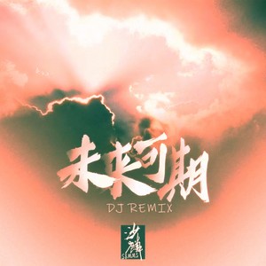 未来可期 (DJ版伴奏)封面