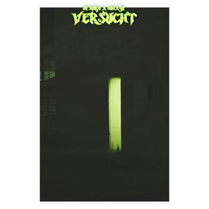 VERSUCHT (feat. Alaxyr) [Explicit]