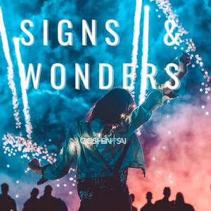 Signs & Wonders (Inst.)