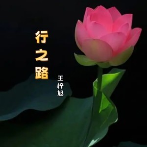 行之路 (伴奏)