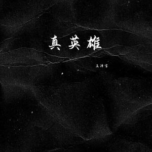 真英雄-王泽宝