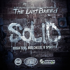 Solid (feat. Booda Cess, Bigg Cheeze & Sporty B) - Single