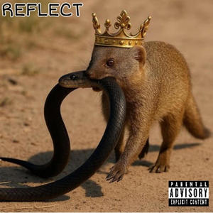 REFLECT (Explicit)