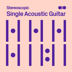 Single Acoustic Guitar