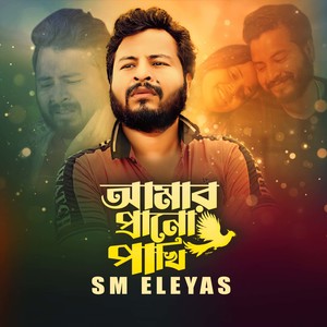 আমার প্রাণো পাখি