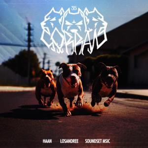Corran (feat. SoundSet Msic & Haan) (Explicit)