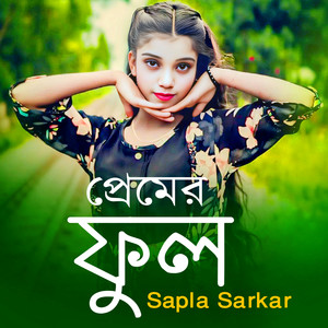 Sapla Sarkar