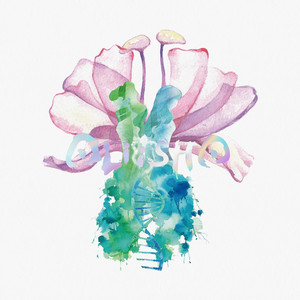 双生花 (feat. 范庭瑜 & 郑欹予)