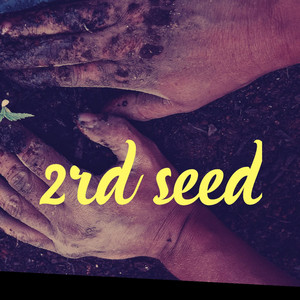 2rd Seed