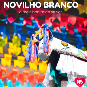 Boi Novilho Branco - Faz um Coração