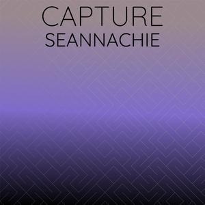 Capture Seannachie