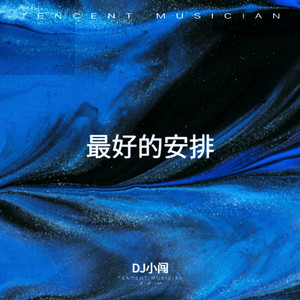 最好的安排 (DJ小闯 remix)封面