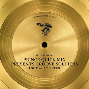 I Got What U Need (Prince Quick Mix Presents Groove Soldiers|Dust Off The Dashieki Dub)