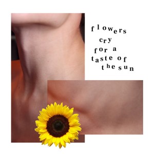 Flowers Cry for a Taste of the Sun
