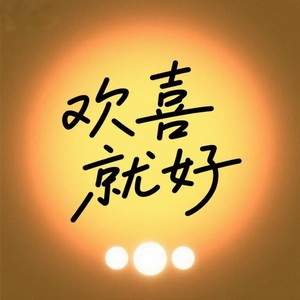 欢喜就好 (闽南语DJ)