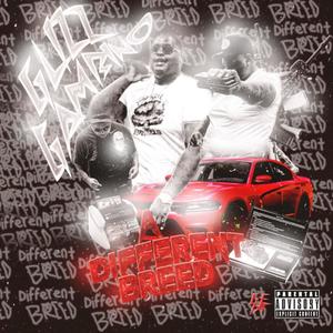 Slide Down (feat. Gwappo Gambino, P7 Ly, 60 Shottz) (Explicit)