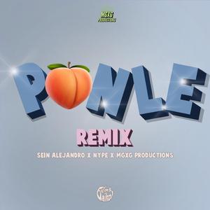 Ponle (feat. Nype, MGXG PRODUCTIONS & Sxbastixn bae) (Remix)