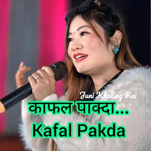 Kafal Pakda (feat. Juni Khaling Rai & Krishna Bhakta Rai)