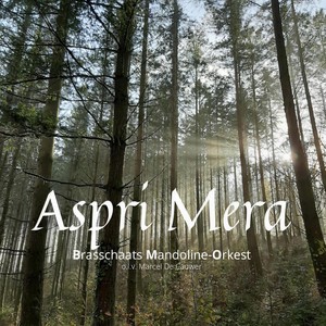 Aspri Mera - Palladio