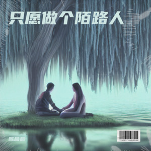 只愿做个陌生人 (伴奏)