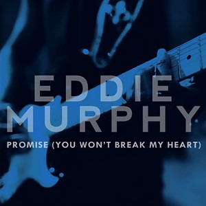 Promise (You Won't Break My Heart)