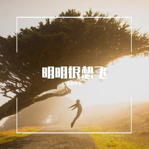 明明很想飞