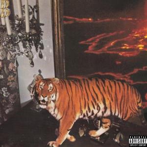 Smooth Operator (Explicit)