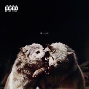 CRITICAL (feat. MIC Mike) (Explicit)