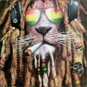 its ok (ohbats) (feat. big pharma & xannaholik) (Explicit)