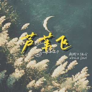 芦苇飞 (国语)封面