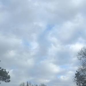 Holy Cow! (Explicit)