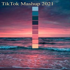 TikTok Mashup 2021