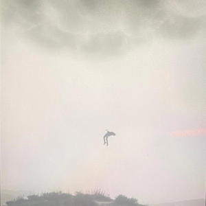 DOLCE FLOW (Explicit)