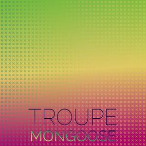 Troupe Mongoose