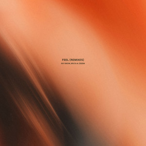 Feel (Bhaskar, Kohen Remix)