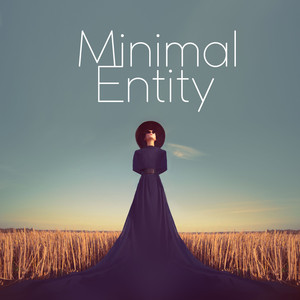 Minimal Entity