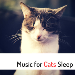 Music for Cats Sleep - Anti-Hyperactivity Songs to Keep your Pet Calm, Soothe Hyper Cat