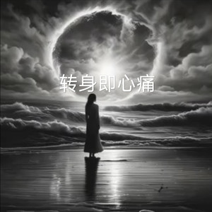 转身即心痛 (优版)封面
