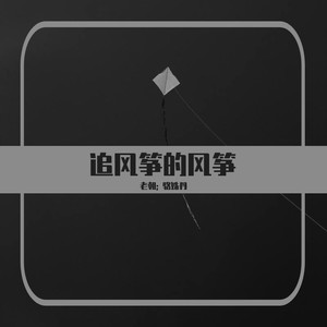 追风筝的风筝封面