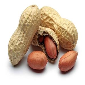 peanut butter (Explicit)