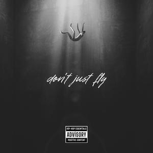 don't just fly (Explicit)