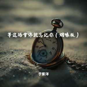 于紫洋 - 等这场雪停就忘记你 (烟嗓版)