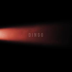 DINGO