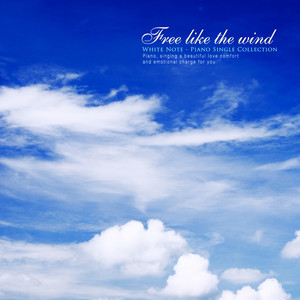 갈대밭 위로 스쳐 지나가듯 (Passing over the reeds)