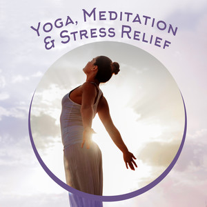 Yoga, Meditation & Stress Relief: Yoga Meditation Guru