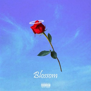 Blossom (Explicit)