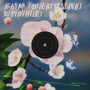 多情种（如花似梦是我们短暂的相逢）