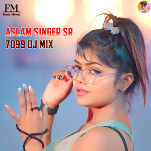 Aslam Singer SR 7099